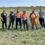 Hawke's Bay whitebait population wriggles back after restoration